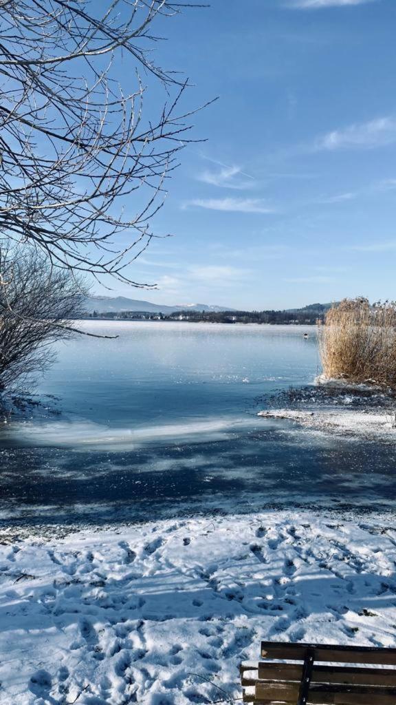 Apartman Lipenka Cerna v Posumavi Luaran gambar
